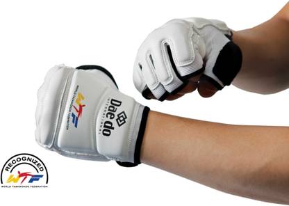 DAEDO Taekwondo Hand Protector Gym & Fitness Gloves