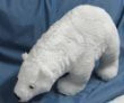 Kohl's World Of Eric Carle Polar Bear Kohls Cares For Kids