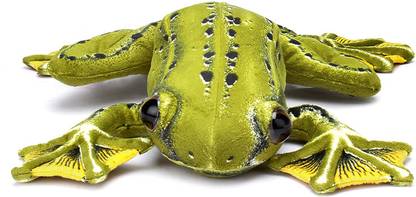 Play N Pets Flying Frog  - 13.78 inch