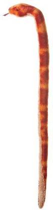 Aurora Plush 50" Corn Snake