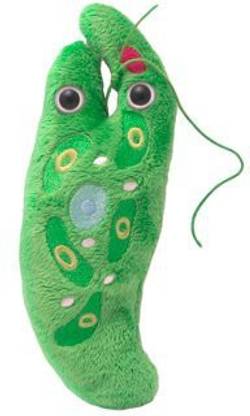 GIANT Microbes Euglena Gracilis Plush  - 20 inch