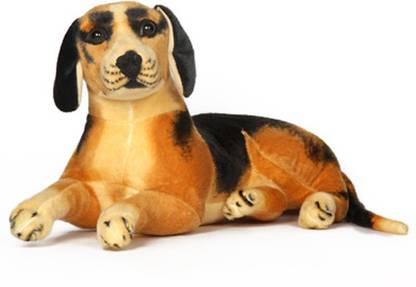 V Golly Jolly Nx Beagle Dog  - 49 cm