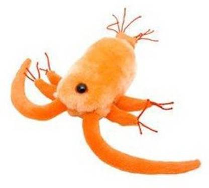 GIANT Microbes Copepod (Centropages Hamatus) Plush School Bag