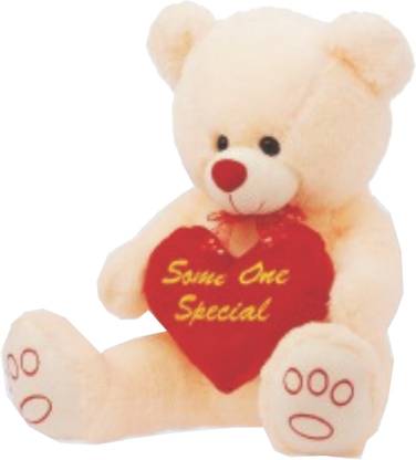 Dimpy Stuff Bear with Heart Embroidery Someone Special  - 55 cm