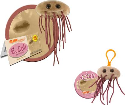GIANT Microbes E-coli Plush Doll and Keychain Combo
