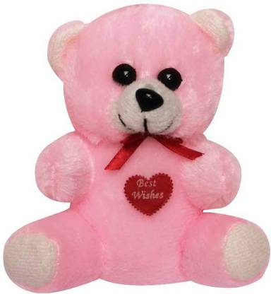 DIZIONARIO TEDDY30P  - 6 inch