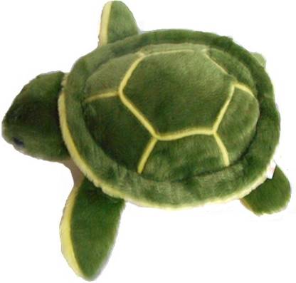 Storenavya Tortoise  - 7 inch