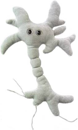 GIANT Microbes Brain Cell (Neuron) Plush  - 5 inch
