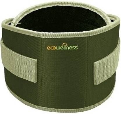 Ecowellness Fitness Belt Back / Lumbar Support