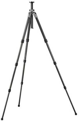 Gitzo GT2541