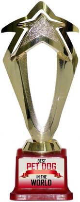 Box 18 BEST PET DOG IN THE WORLD 667 Trophy