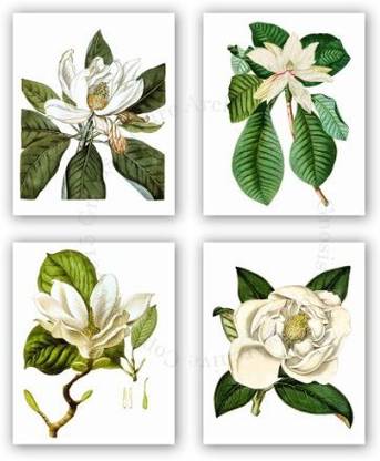 Gnosis Picture Archive Magnolia Flowers Vintage Botanical Wall Art Pack of 4