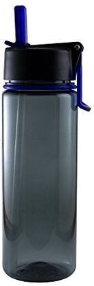 Liquid Logic 651 ml Water Purifier Bottle