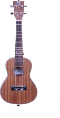 Techno Concert Ukulele