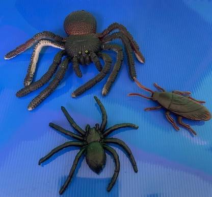 Tik C animal toys rubber spider and cockroach