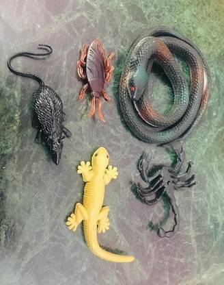 Tik C SNAKE LIZARD RAT GANG COMBO PACK