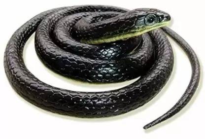 BALLU TOYS Rubber Snakes Prank Toy (Assorted Colours, 28-inc