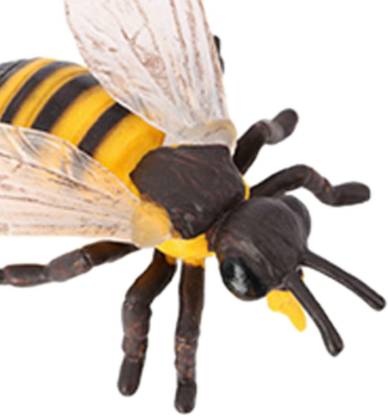 BNF Plastic Kids Insect Bee Growth Life Cycle Figures Education ...