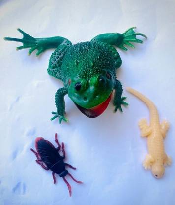 Tik C Cute rubber frog,lizard and cockroach toys