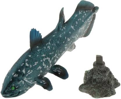 Lyla Realistic Static Ocean Animal Model Toy Kids Gift Latimeria with Base