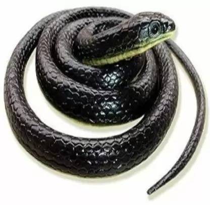 jmv PACK OF 2 Scary Fake Snake Large Black Mamba Snake Toy