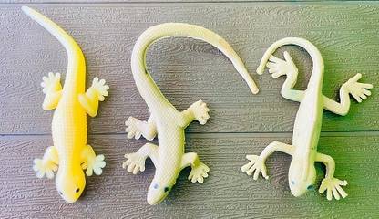 Tik C rubber lizard prank toy