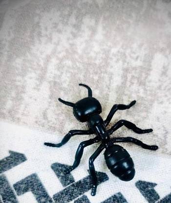Tik C ANT TOY FOR KIDS (BLACK)