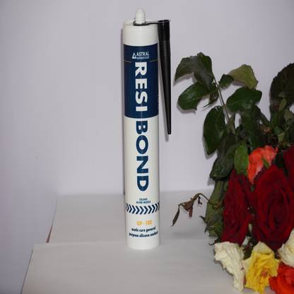 ASTRAL SILICONE (260 ml) Adhesive