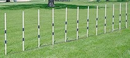 SYNCO Spiked pole 33 mm Regular Agility Pole