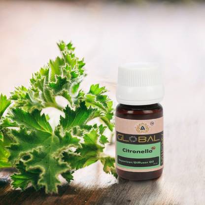 GLOBAL AROMA CITRONELLA Aroma Oil CITRONELLA