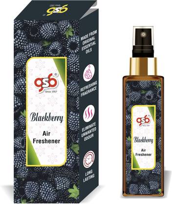 GANDHI SUGANDH BHANDAR Blackberry Long Lasting Natural Air Freshener Spray Blackberryrf100