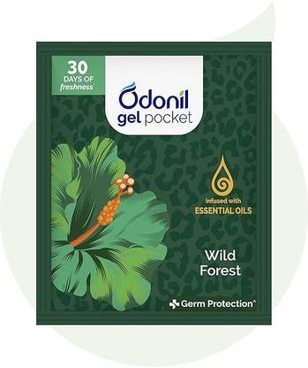 Odonil Wild Forest Aroma Oil Wild Forest - 10g