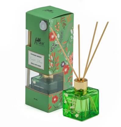 Pan Aromas Forest Bliss Wonder Series - Reed Diffuser Set Forest Bliss Wonder Series - Reed