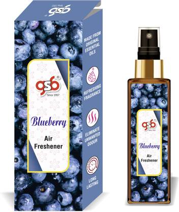 GANDHI SUGANDH BHANDAR Blueberry Long Lasting Natural Air Freshener Spray Blueberryrf200