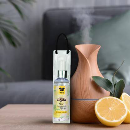 IRIS Citric Tango Car Freshener Spray IRCS0980CG