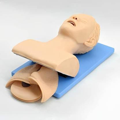 KHANNA TRADERS K33 LTD Human Trachea Intubation Without monitor model Anatomical Body Model