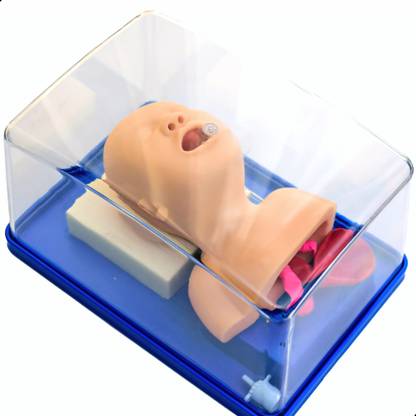 MediPrakt | NEONATAL TRACHEA INTUBATION MANIKIN | Neonate Intubation Training Model | Anatomical Body Model