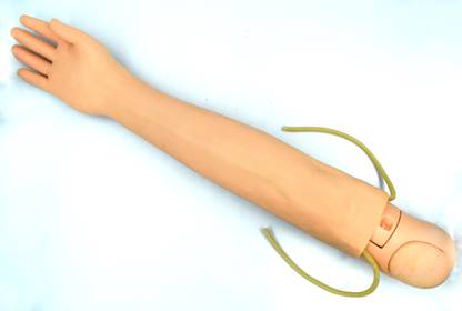 Lexbax Injection Training arm on board Indian quality (Pack of 1) Anatomical Body Model