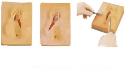 KHANNA TRADERS K22 LTD VULVA SUTURING TRAINING SIMULATOR MODEL Anatomical Body Model
