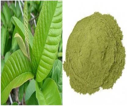 VIVETHAN Guava Leaves Powder