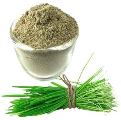 VIVETHAN Arukam Pul powder 100gm | Bermuda Grass Powder | Doob | Dobri | Karuka Grass