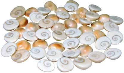 Aryadit Natural and Original Gomati/Gomti Chakra for Pooja Aquarium Air Stone