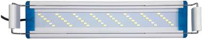 Jainsons Pet Products Blue, White LED Aquarium Light