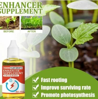 Slate Plant Growth Enhancer Supplement - Root Enhancer for Plant Aquarium Plant Anchor
