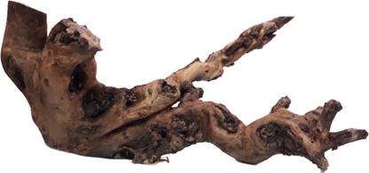 Dks stores Driftwood for Aquarium Original Teak wood Weight 2.6 Kg and 50 Cm Long Slate Planted Substrate