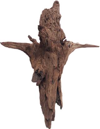 Dks stores Driftwood for Aquarium 47 CM Long Wings Driftwood Suitable for large Tanks Slate Unplanted Substrate