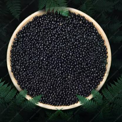 Animaux Planted Aquarium Substrate Black Soil 1KG Aqua Soil Planted Substrate