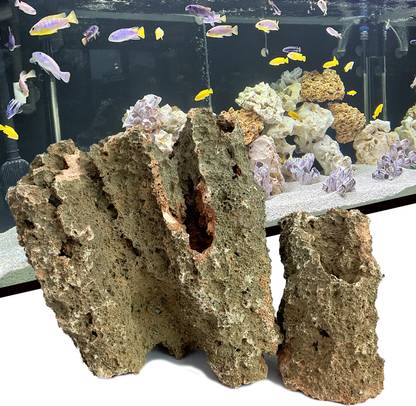 Jainsons Pet Products Natural Reef Rock Mountain Sand Stone Dragon Stone for Aquarium Decor Hole Rock River Rock Planted Substrate