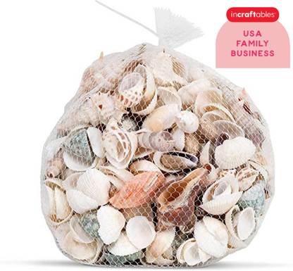 AMACO Sea Shell Aquarium Home Decoration Sea Shell Used Aquarium/Table Decors Shale Shale Unplanted Substrate