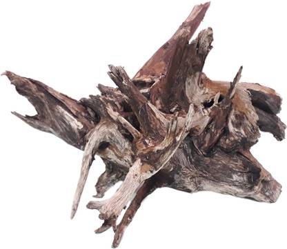Dks stores Driftwood For Aquairum Tree Root Driftwood 40 CM Long Slate Unplanted Substrate